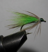 ���� ������ Wet fly 